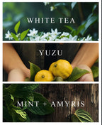 Room & Linen Mist: White Tea & Yuzu ($18.00)