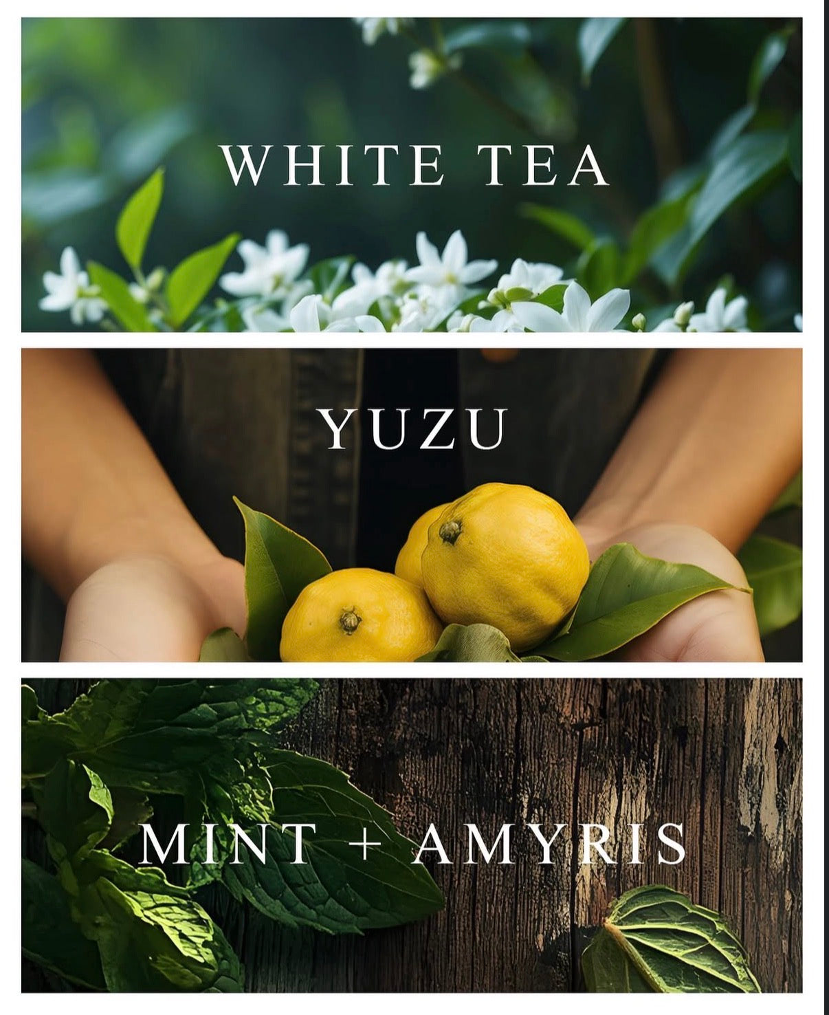 Room & Linen Mist: White Tea & Yuzu ($18.00)