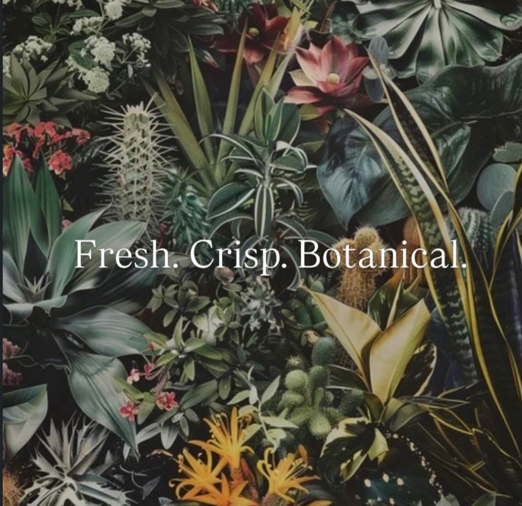 Artisan Whipped Soap: Botanical Bungalow ($20.00)