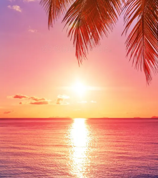 Sunset Kiss (Select Your Vessel Size)