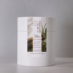 *PRE-ORDER* Vetiver & Palo Santo (Estimated 9/28)
