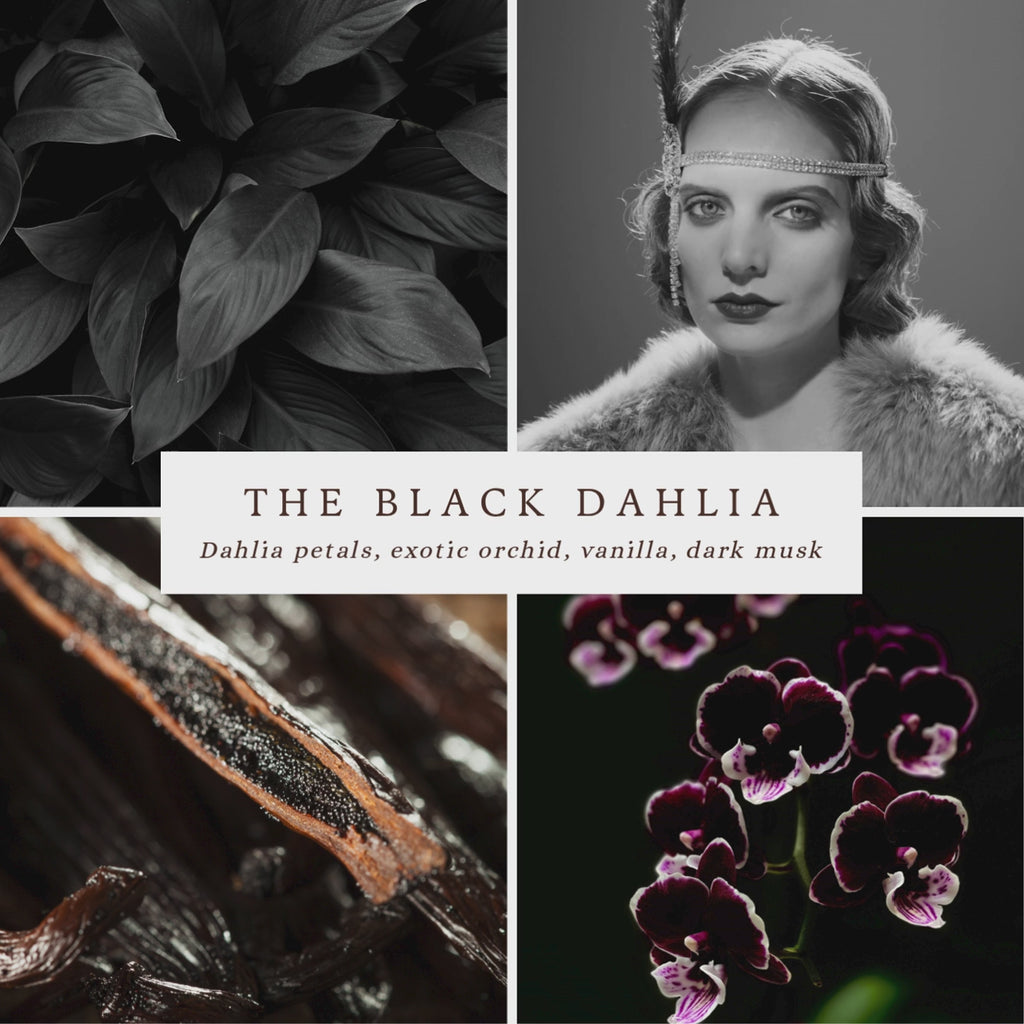 The Black Dahlia