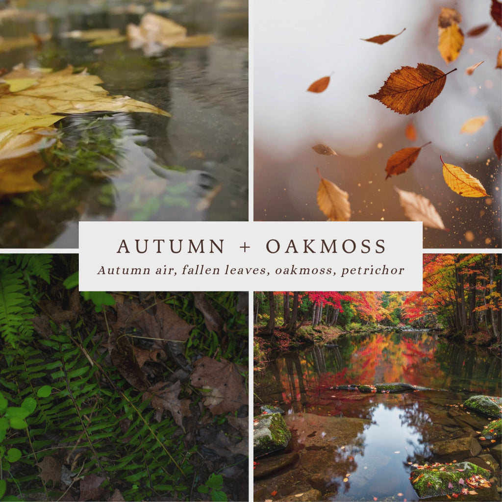 Autumn + Oakmoss
