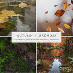 Autumn + Oakmoss