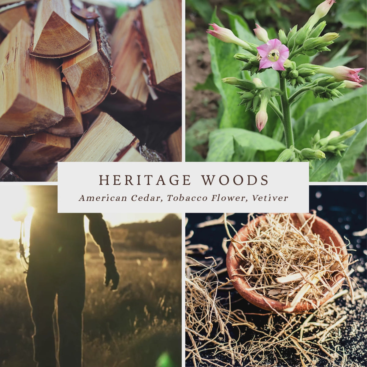 Heritage Woods: Cologne Oil